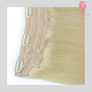 natural-straight-light-color-Clip-in-hair-extensions-5