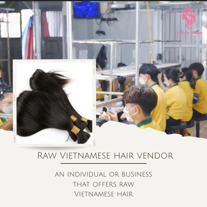 Raw Vietnamese hair vendor is great choice for your hair business
