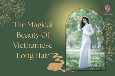 Vietnamese-long-hair