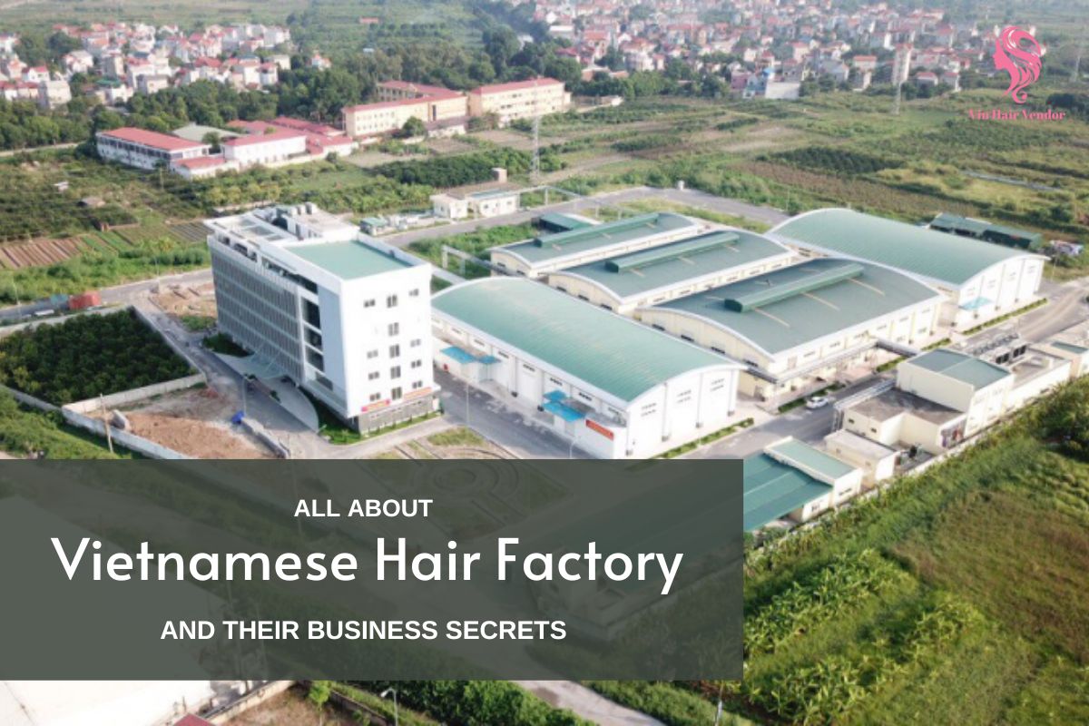 top-5-vietnamese-hair-factory-for-high-quality-hair-1