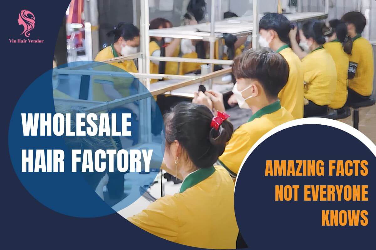 wholesale-hair-factories-hair-factory-wholesale-hair-factories-the-hair-factory-hair-factory-wholesale-hair-factory