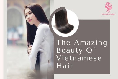 Vietnamese-hair-Vietnamese-human-hair-Vietnam-human-hair-human-hair-Vietnam-is-Vietnamese-hair-good