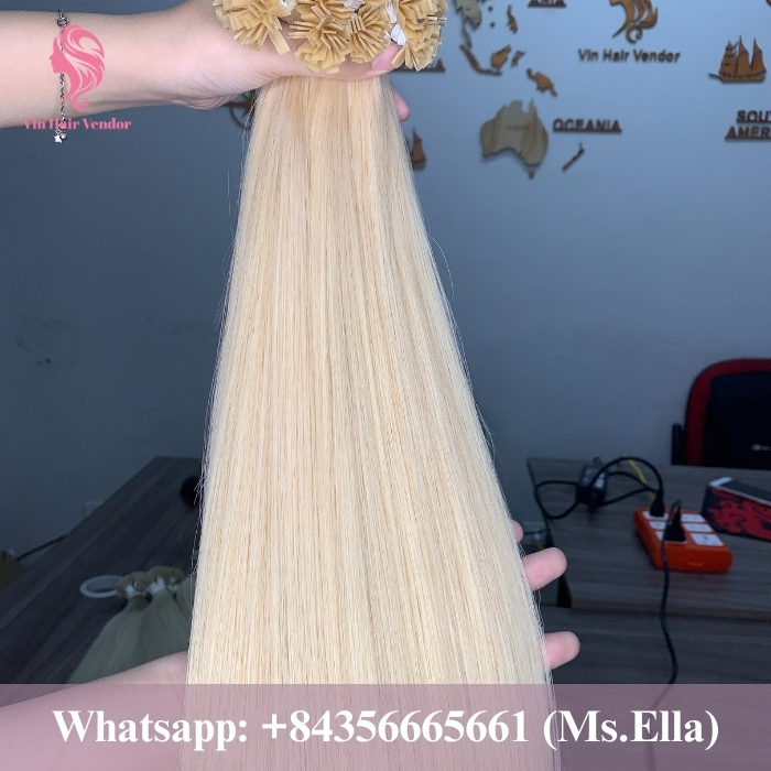 High Quality Vietnamese Raw Virgin Hair - 131
